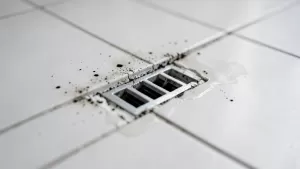 jaka fuga do odpływu liniowego