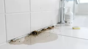 Viega odpływ liniowy ścienny czyszczenie